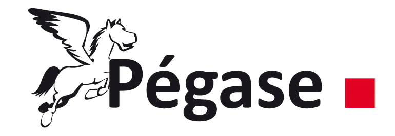pegase logo